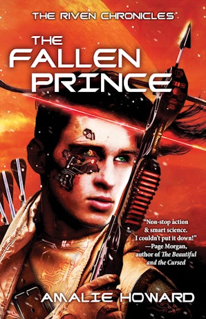 The Fallen Prince book image