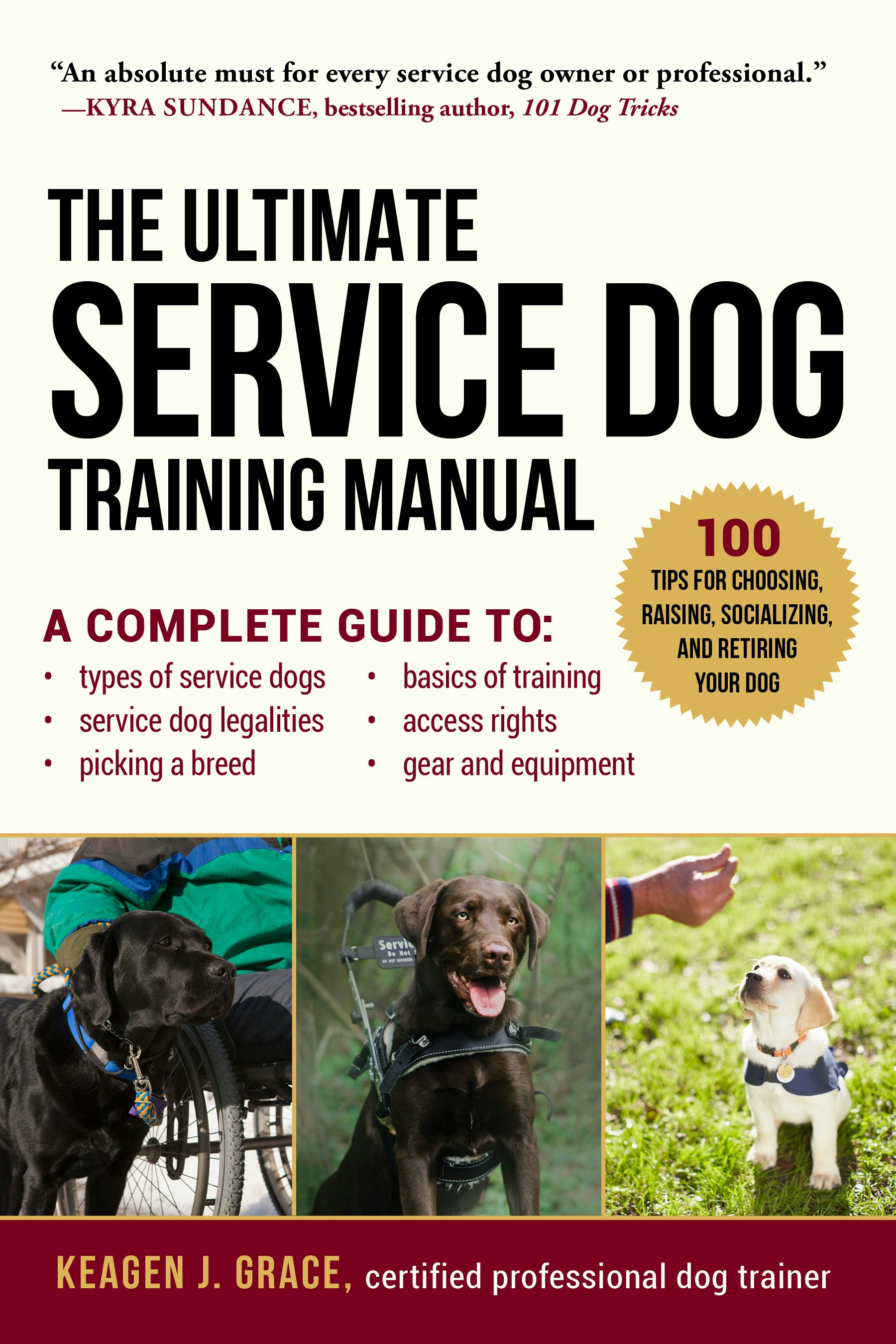 Service dog store in training rights