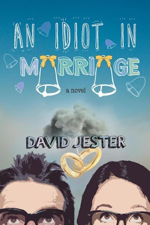 An Idiot in Marriage book image