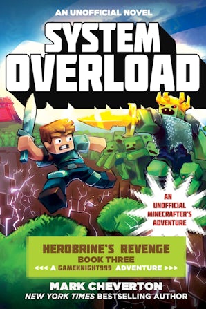System Overload book image