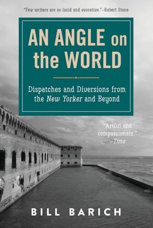 An Angle on the World book image