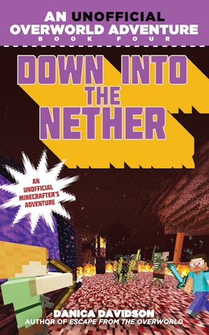 Down into the Nether book image