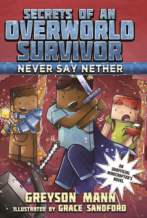 Never Say Nether book image