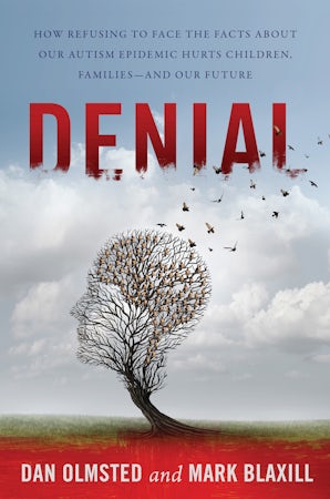 Denial book image