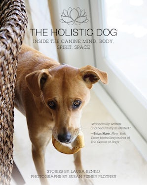 The Holistic Dog