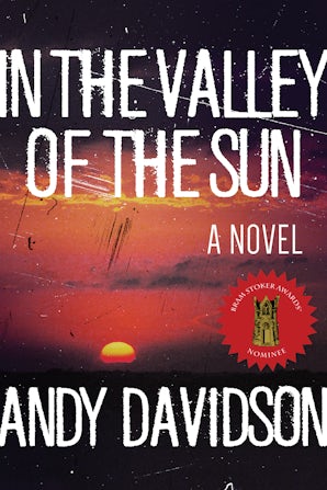 In the Valley of the Sun book image