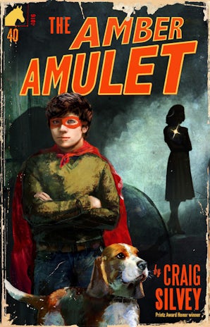 The Amber Amulet book image