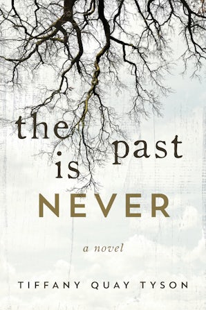 The Past Is Never book image