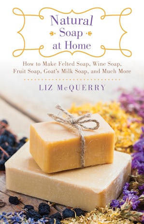 Natural Soap at Home book image