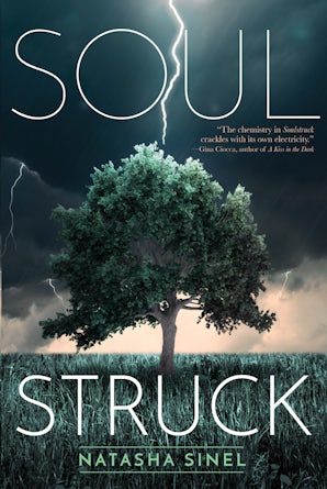 Soulstruck book image