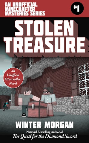 Stolen Treasure book image