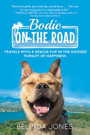 Bodie on the Road book image