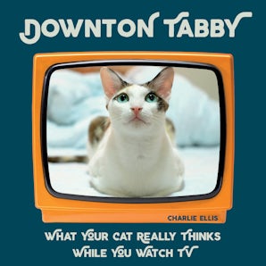 Downton Tabby book image