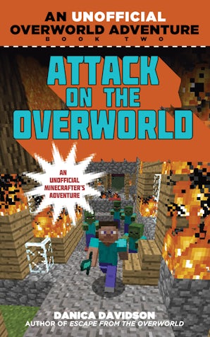 Attack on the Overworld book image