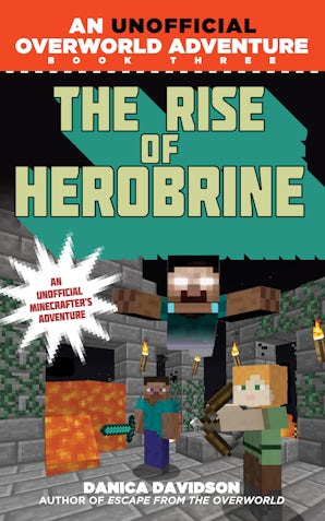 The Rise of Herobrine book image