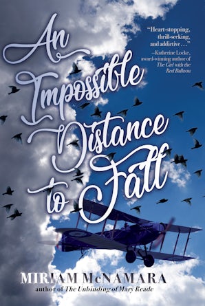 An Impossible Distance to Fall book image