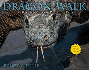 Dragon Walk book image