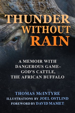 Thunder Without Rain book image
