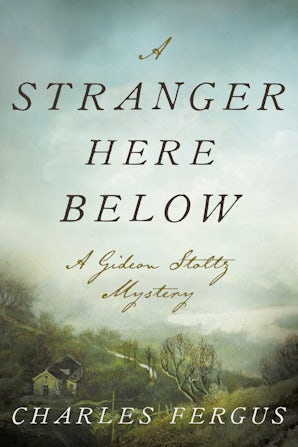 A Stranger Here Below book image