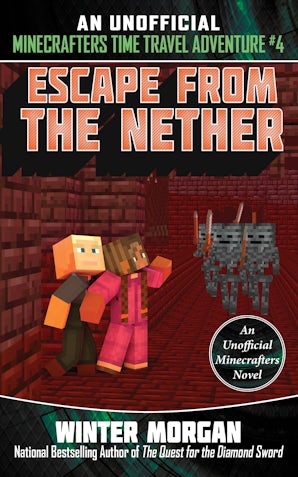 Escape from the Nether book image