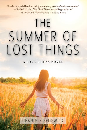 The Summer of Lost Things book image
