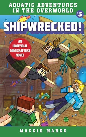 Shipwrecked! book image