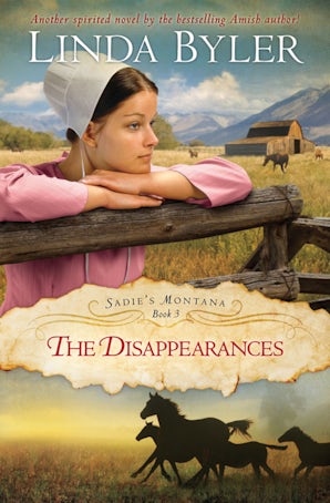 Disappearances book image