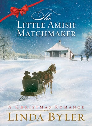 Little Amish Matchmaker book image
