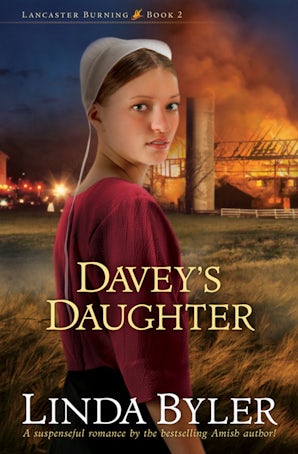 Davey's Daughter book image