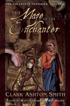 The Maze of the Enchanter book image