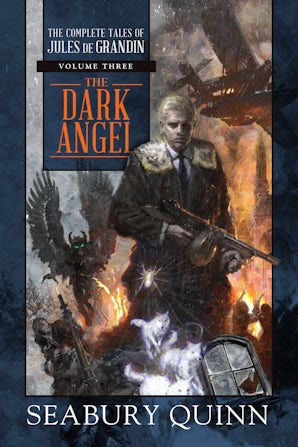The Dark Angel book image