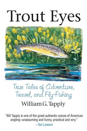Trout Eyes book image
