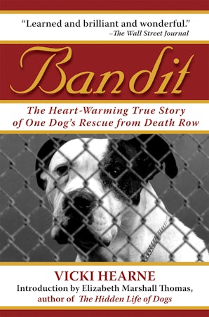 Bandit book image