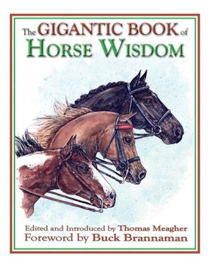 The Gigantic Book of Horse Wisdom book image