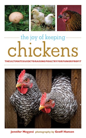 The Joy of Keeping Chickens