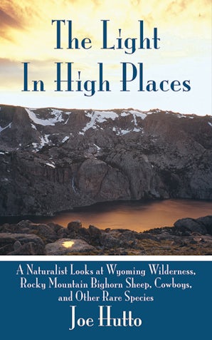 The Light In High Places book image