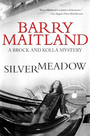 Silvermeadow book image
