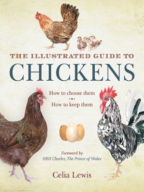 The Illustrated Guide to Chickens book image