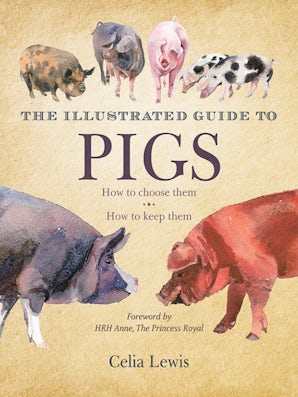 The Illustrated Guide to Pigs book image