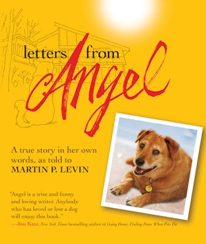 Letters from Angel book image