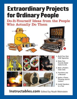 Extraordinary Projects for Ordinary People book image