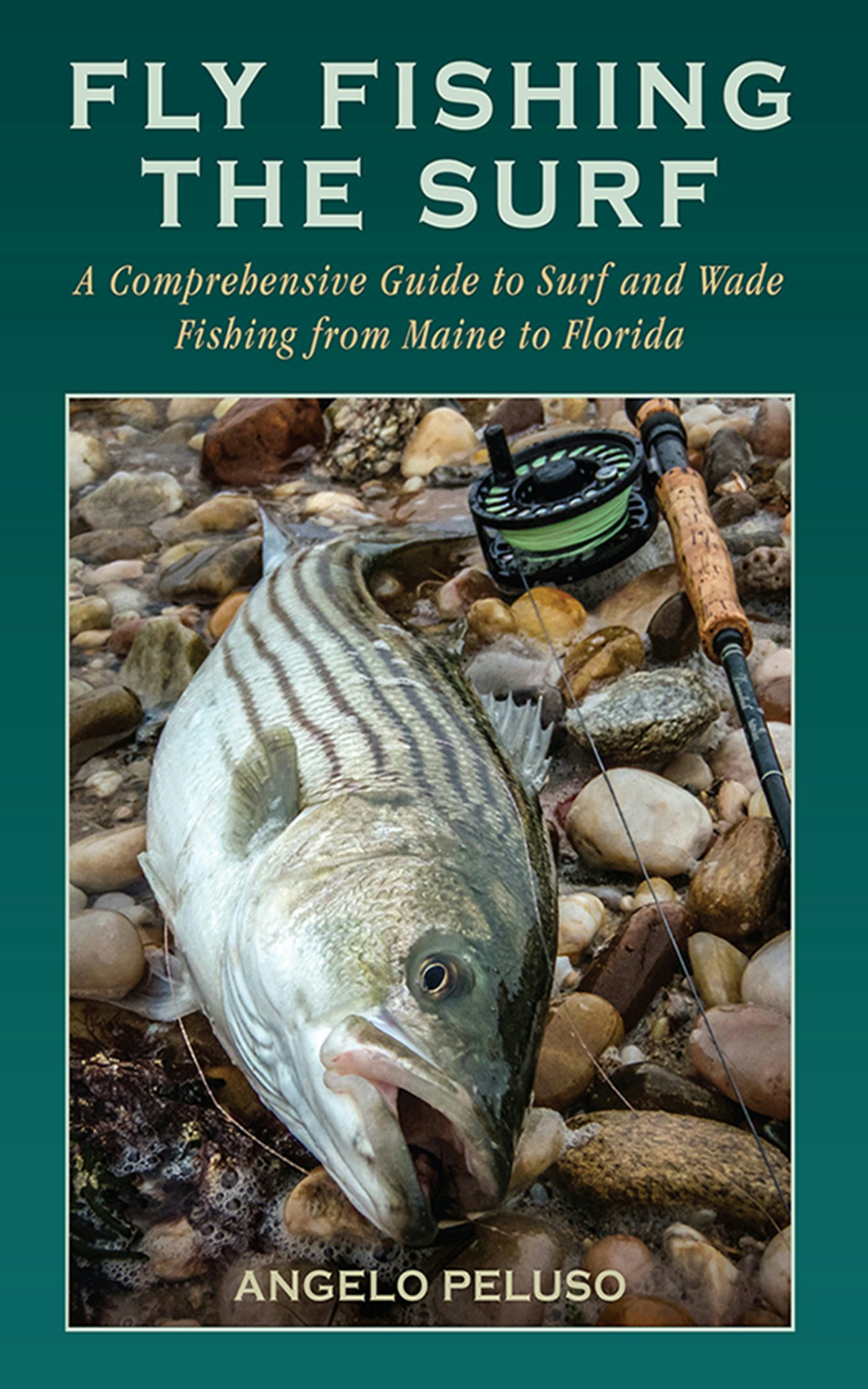里見栄正の始める続けるフライフィッシング(Angling fan Trout fishing DVD(中古品) Fly Fishing the Surf
