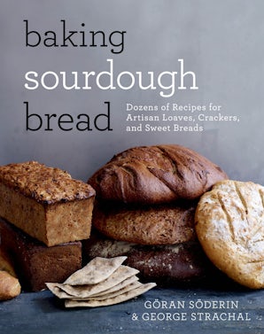 Baking Sourdough Bread book image