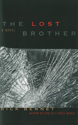 The Lost Brother book image
