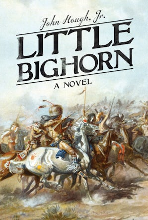 Little Bighorn book image