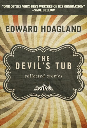 The Devil's Tub book image