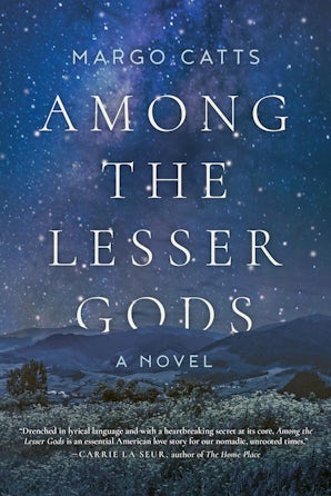 Among the Lesser Gods book image