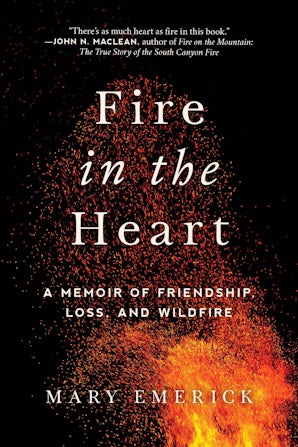 Fire in the Heart book image