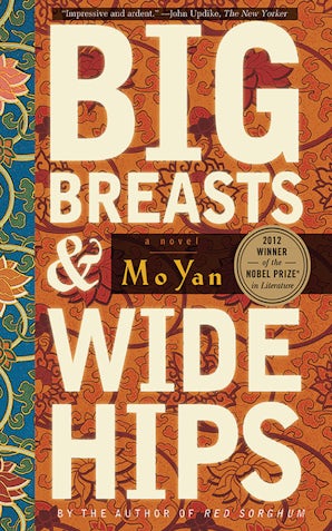 Big Breasts and Wide Hips book image