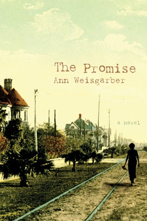 The Promise book image